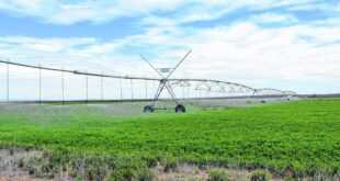 Neuquén negocia canon de agua en Vaca Muerta con operadoras