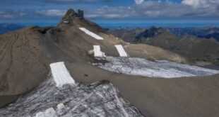 Científicos cubren glaciar con lana de oveja con resultado inesperado