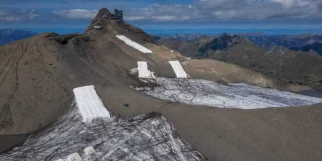Científicos cubren glaciar con lana de oveja con resultado inesperado