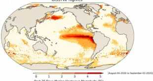 Cambio climático: cómo transforman los océanos las olas de calor