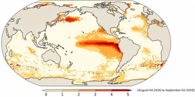 Cambio climático: cómo transforman los océanos las olas de calor