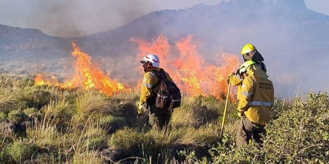 El Niño traerá agua abundante pero riesgos de incendios en Neuquén