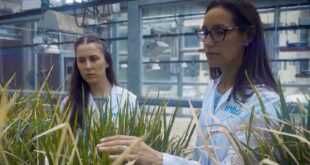 Renata Reinheimer: científica argentina revoluciona productividad agrícola