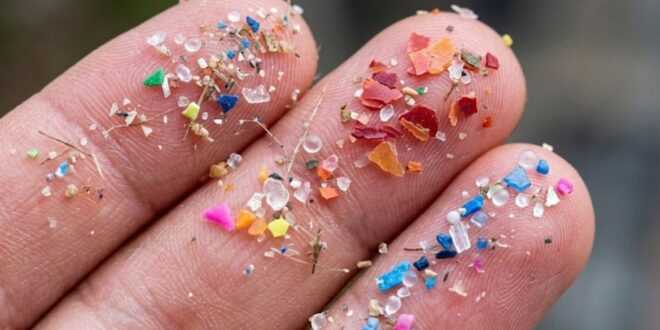 Microplásticos detectados en playas de la Antártida argentina