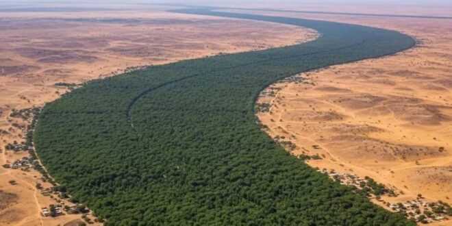 Gran Muralla Verde: restauración de 100 millones de hectáreas