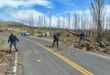 Árbol derribado por el viento cierra ruta 46 en Neuquén